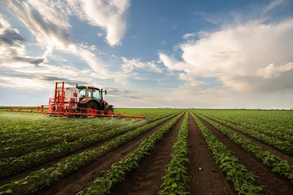 Trekker Sproeien Pesticiden Soja Veld Met Sproeiapparaat Het Voorjaar — Stockfoto