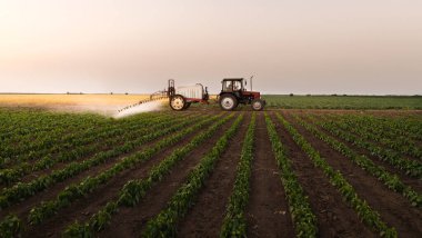 Traktör baharda sebze tarlasına böcek ilacı püskürtüyor.