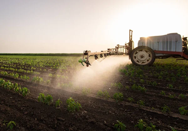 Traktor Rozprašuje Pesticidy Rostlinném Poli Postřikovačem Jaře — Stock fotografie