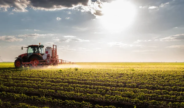 Trekker Sproeien Pesticiden Soja Veld Met Sproeiapparaat Het Voorjaar — Stockfoto