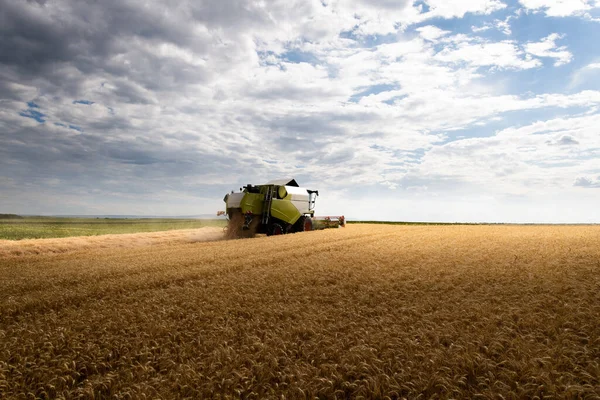 Una Cosechadora Que Trabaja Campo Trigo — Foto de Stock