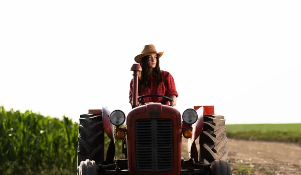 女农民在田里驾驶拖拉机 — 图库照片