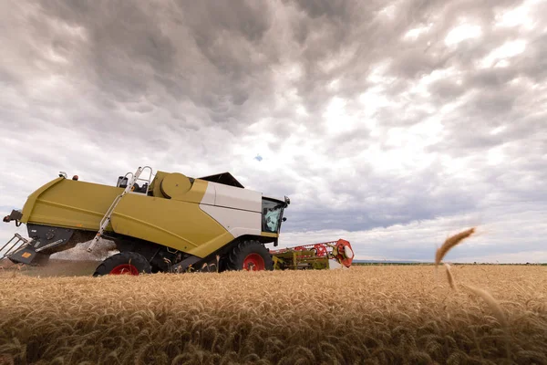 Una Cosechadora Que Trabaja Campo Trigo — Foto de Stock