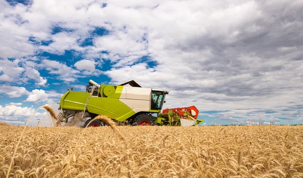 Ein Mähdrescher Bei Der Arbeit Auf Einem Weizenfeld — Stockfoto