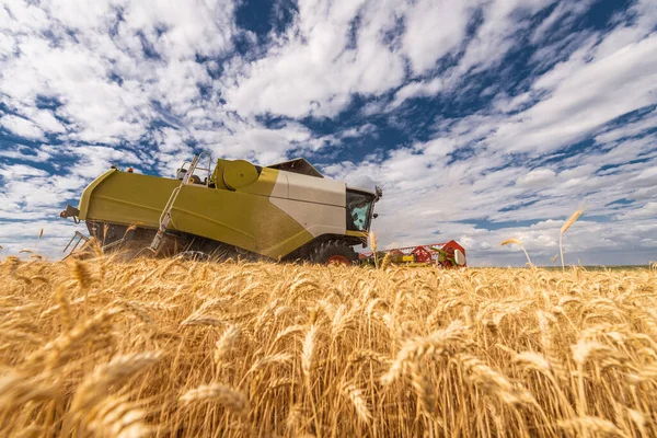 Una Cosechadora Que Trabaja Campo Trigo — Foto de Stock