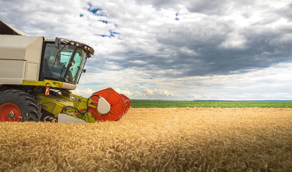 Ein Mähdrescher Bei Der Arbeit Auf Einem Weizenfeld — Stockfoto