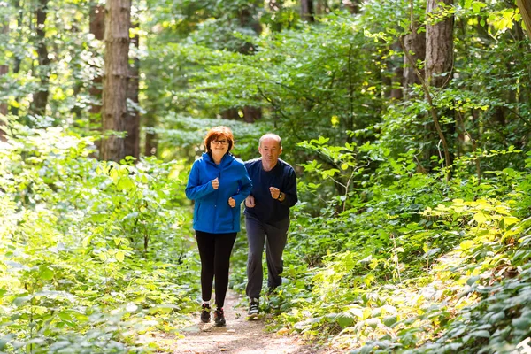 Boldog Idősebb Pár Fut Össze Parkban — Stock Fotó