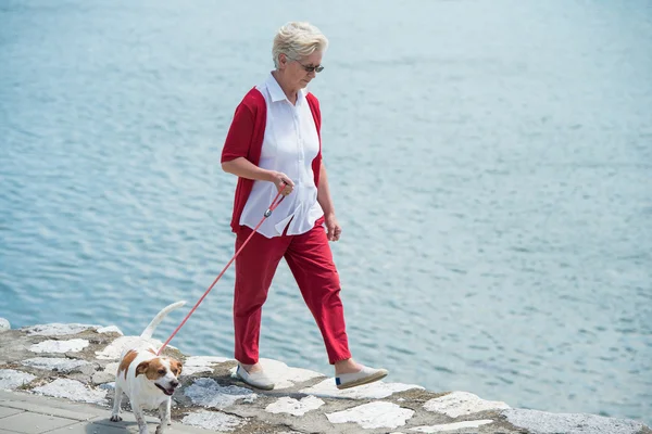 Senior vrouw en haar hond — Stockfoto