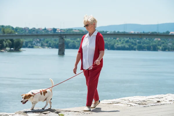 Senior vrouw en haar hond — Stockfoto