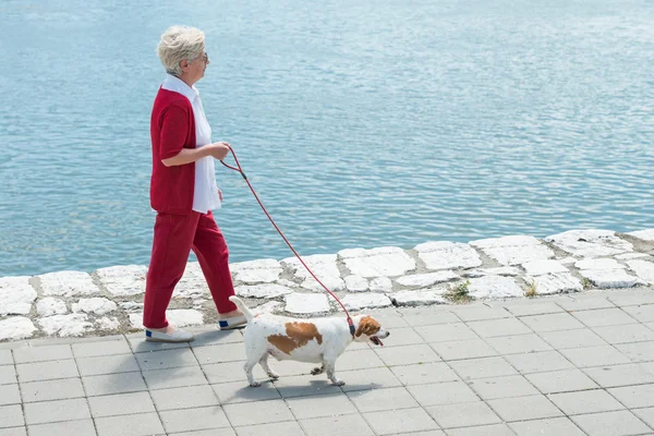 Senior vrouw en haar hond — Stockfoto