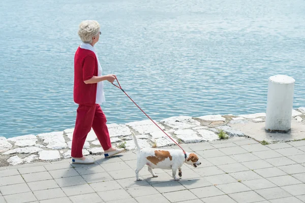 Starszy kobieta i jej pies — Zdjęcie stockowe