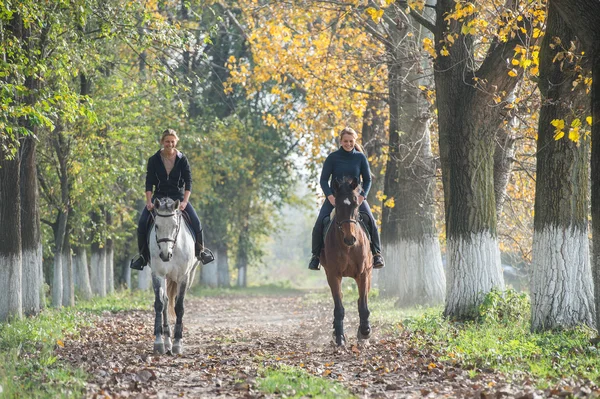 Promenade à cheval — Photo