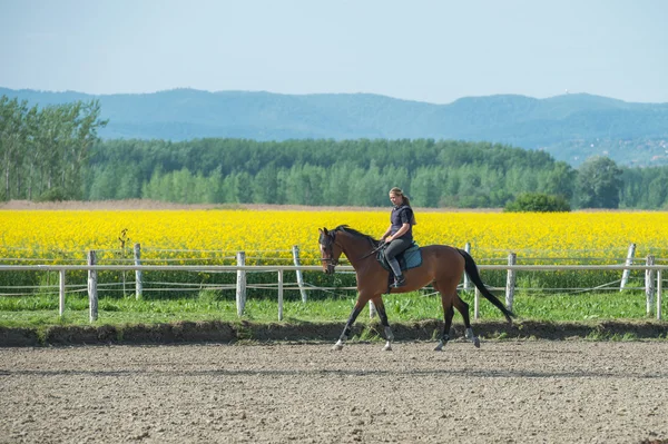 Girl riding a horse — Stock Photo, Image