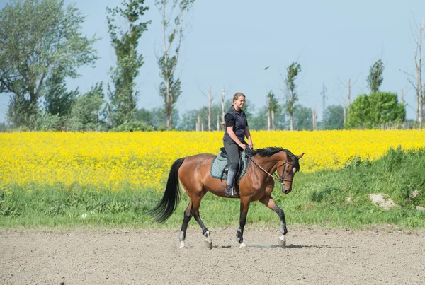 Girl riding a horse — Stock Photo, Image