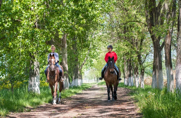 Paseo a caballo . —  Fotos de Stock