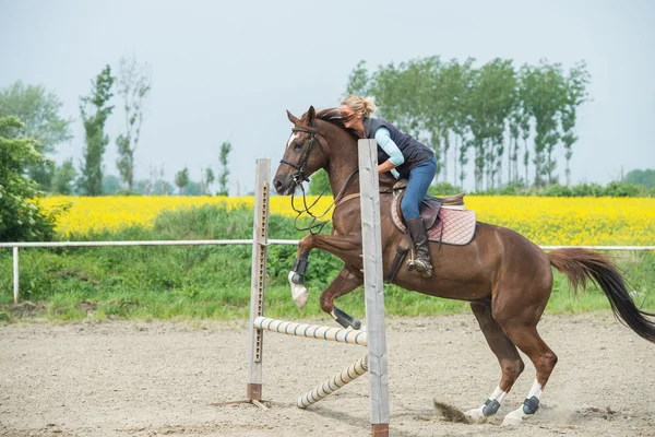 Saltar con caballo — Foto de Stock