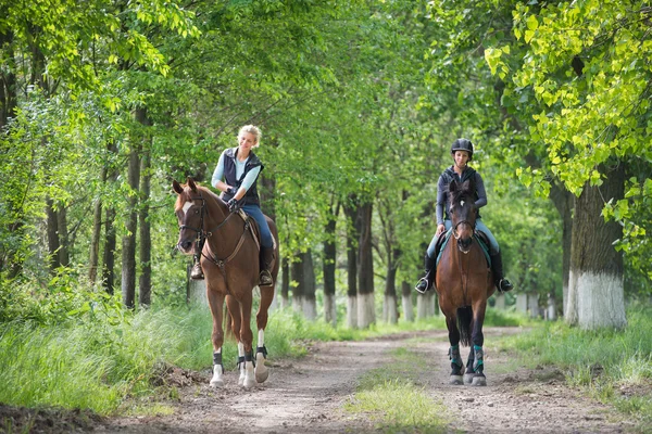 Ragazze a cavallo equitazione — Foto Stock