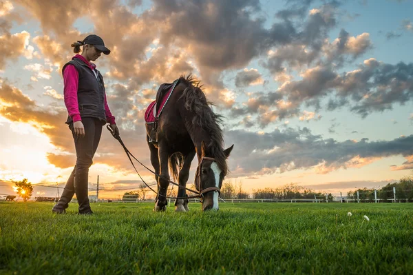 Chica y caballo —  Fotos de Stock