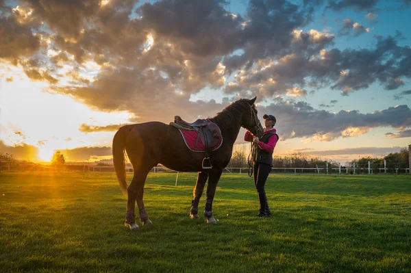 Chica y caballo —  Fotos de Stock