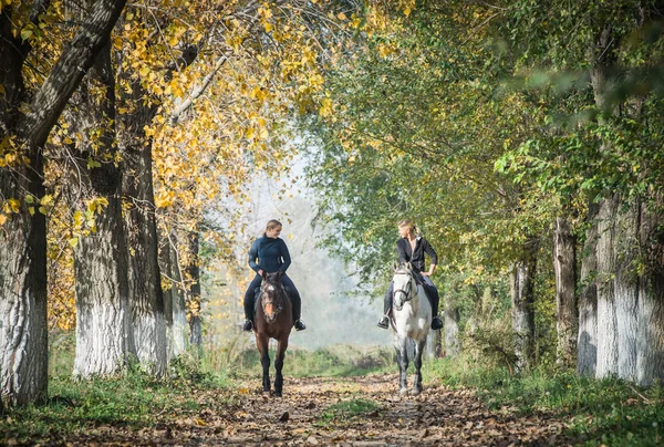 Jízda na koni — Stock fotografie