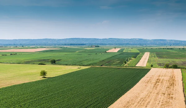 Landskap — Stockfoto