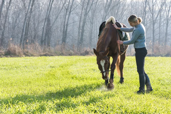 Menina e cavalo — Fotografia de Stock