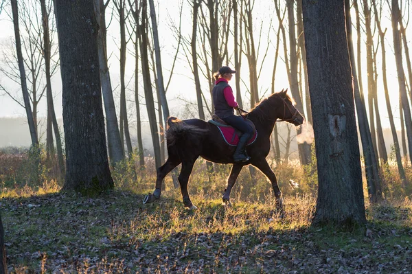 Girl riding a horse — Stock Photo, Image