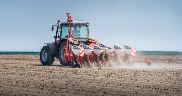 Wheat sowing — Stock Photo, Image