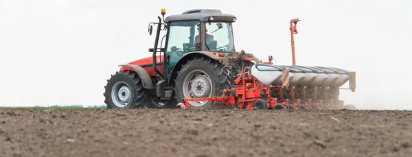 Sowing crops at field — Stock Photo, Image