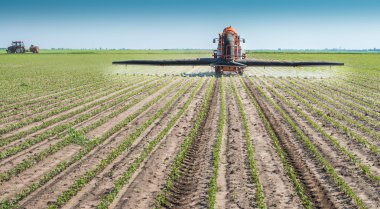 Soya fasulyesi alana püskürtme 