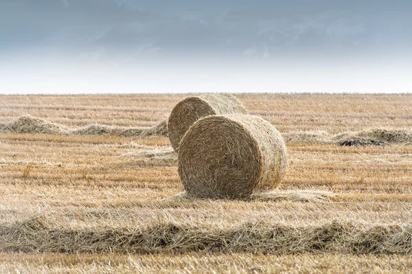 Pacas de paja — Foto de Stock