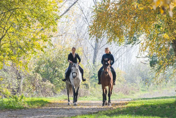 Girls  riding a horse — Stock Photo, Image