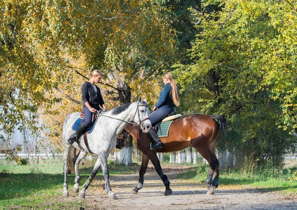 Девушки верхом на лошади — стоковое фото