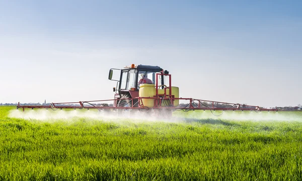 Traktor versprüht Weizenfeld — Stockfoto