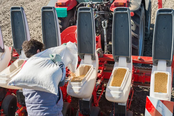 Soya fasulyesi tohumlama — Stok fotoğraf