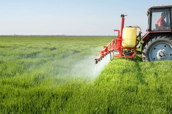 Tractor spraying wheat field — Stock Photo, Image