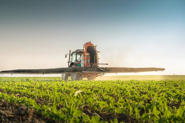 Trator pulverização de pesticidas — Fotografia de Stock