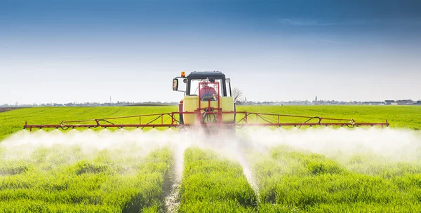 Traktor penyemprotan ladang gandum — Stok Foto
