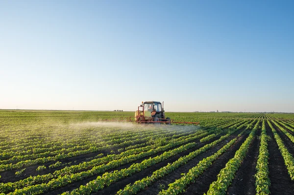 Traktor sprutning — Stockfoto