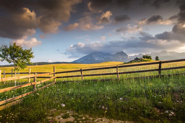 Recinzione in legno — Foto Stock