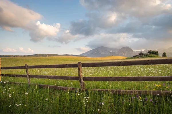 Holzzaun — Stockfoto