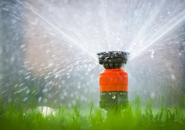 Sprinkler head spraying water — Stock Photo, Image