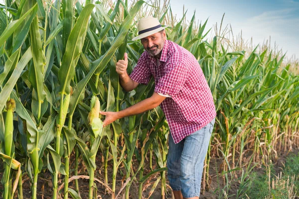 Agricoltore — Foto Stock