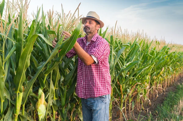 Agricultor — Fotografia de Stock