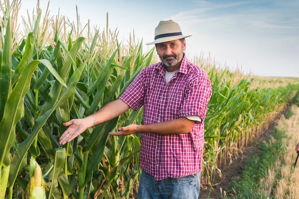 Agricultor — Fotografia de Stock