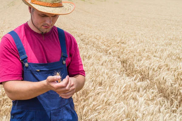 Agricultor —  Fotos de Stock