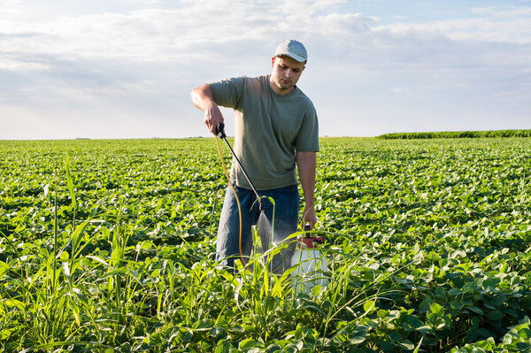  spraying soybean field