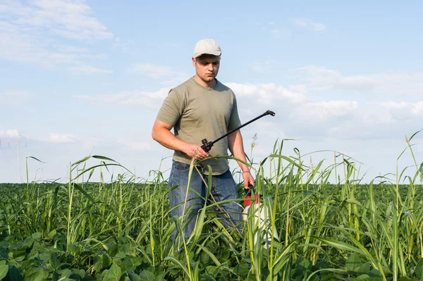 Spraying soybean field — Stock Photo, Image