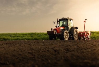 Traktör tohumu eken bir çiftçi. Tarım tarlasına ekin ekiyor. Bitkiler, buğday.