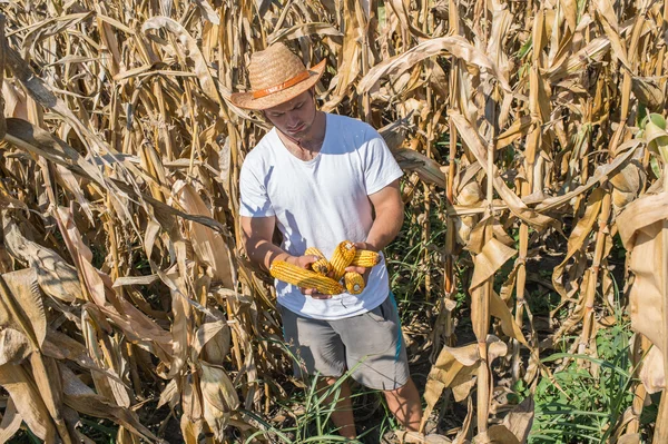 Agricultor — Fotografia de Stock